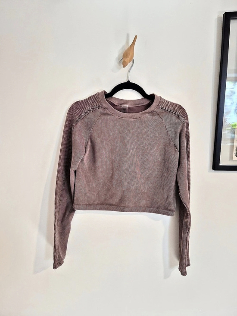 REVIVAL Long Sleeve Crop Top in Pink Size Large